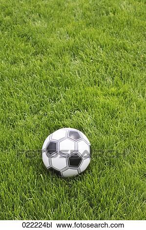 still life of football in grass View Large Photo Image Stock Image - still life of football in grass. Fotosearch