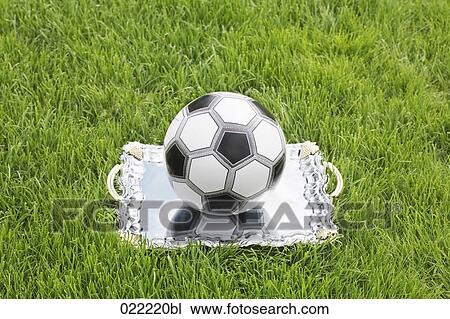 still life of football on silver tray View Large Photo Image Stock Image - still life of football on silver tray. Fotosearch