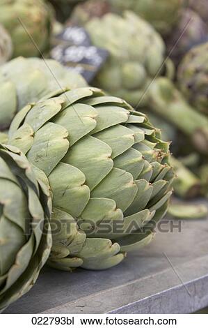 artichokes on display at market View Large Photo Image Stock Image - artichokes on display at market. Fotosearch
