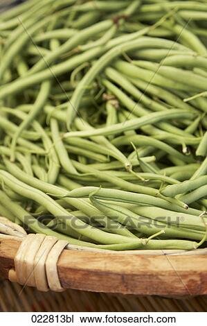 beans on display at market View Large Photo Image Stock Image - beans on display at market. Fotosearch