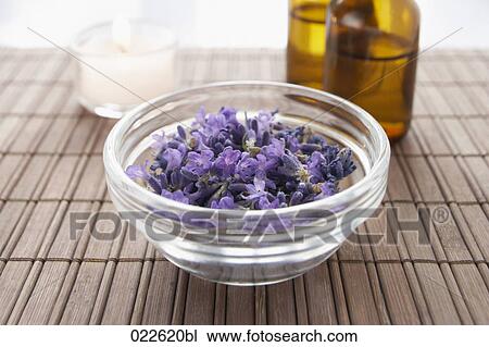 bowl with purple blossoms for aroma therapy View Large Photo Image Stock Image - bowl with purple blossoms for aroma therapy. Fotosearch
