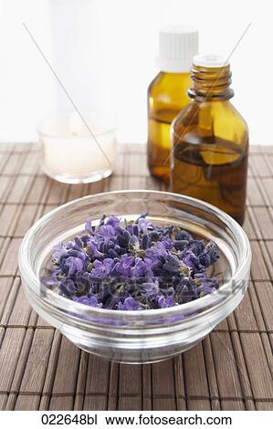 bowl with purple blossoms for aroma therapy View Large Photo Image Stock Image - bowl with purple blossoms for aroma therapy. Fotosearch