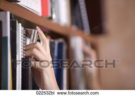 close-up of yopung woman taking book from shelf View Large Photo Image Stock Image - close-up of yopung woman taking book from shelf. Fotosearch
