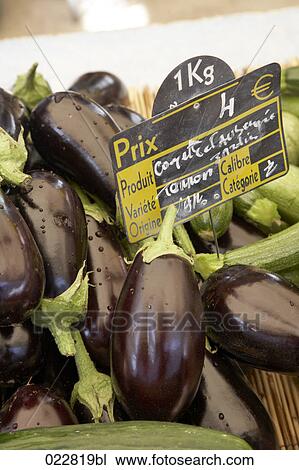 eggplants on display at market View Large Photo Image Stock Image - eggplants on display at market. Fotosearch