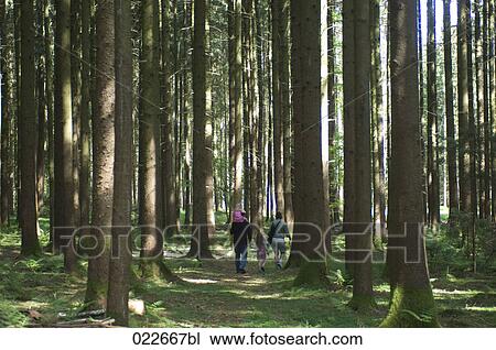 family walking through forest View Large Photo Image Stock Image - family walking through forest. Fotosearch