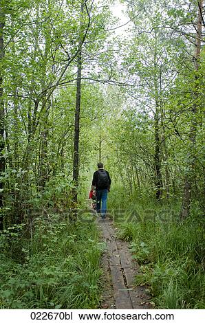 father and young daughter walking through forest View Large Photo Image Stock Image - father and young daughter walking through forest. Fotosearch