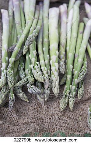 green asparagus on display at market View Large Photo Image Stock Image - green asparagus on display at market. Fotosearch