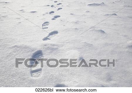 human foot steps in winter snow View Large Photo Image Stock Image - human foot steps in winter snow. Fotosearch