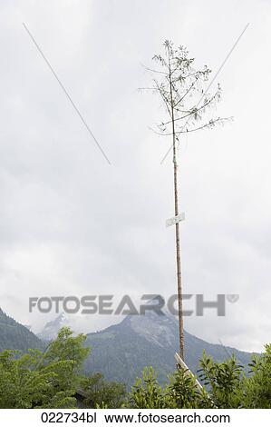 maypole near Lungern in Switzerland View Large Photo Image Stock Image - maypole near Lungern in Switzerland. Fotosearch