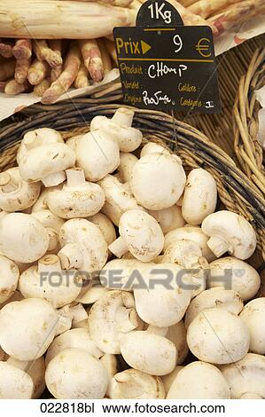 mushrooms on display at market View Large Photo Image Stock Image - mushrooms on display at market. Fotosearch