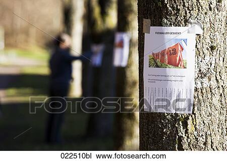 note with ad searching for football players sticking on tree View Large Photo Image Stock Image - note with ad searching for football players sticking on tree. Fotosearch