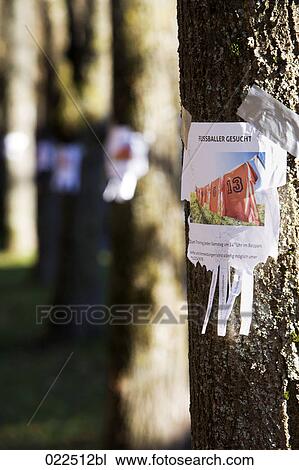 note with ad searching for football players sticking on tree View Large Photo Image Stock Image - note with ad searching for football players sticking on tree. Fotosearch