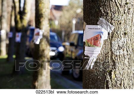 Stock Image - note with ad searching for football players sticking on tree. Fotosearch