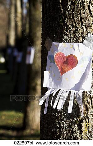 note with red heart sticking on tree View Large Photo Image Stock Image - note with red heart sticking on tree. Fotosearch