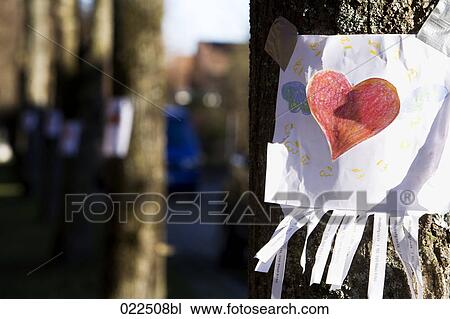 note with red heart sticking on tree View Large Photo Image Stock Image - note with red heart sticking on tree. Fotosearch