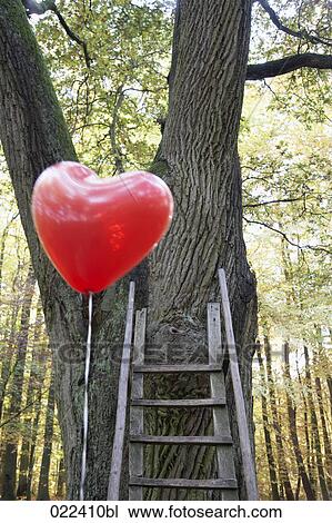 red balloon in shape of heart in autumn forest View Large Photo Image Stock Image - red balloon in shape of heart in autumn forest. Fotosearch