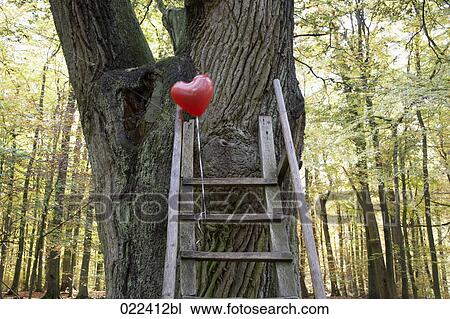 red balloon in shape of heart in autumn forest View Large Photo Image Stock Image - red balloon in shape of heart in autumn forest. Fotosearch
