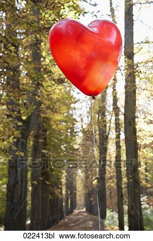 red balloon in shape of heart in autumn forest View Large Photo Image Stock Image - red balloon in shape of heart in autumn forest. Fotosearch