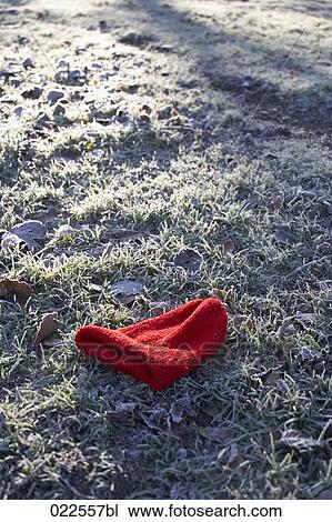 red hat lying in autumn grass View Large Photo Image Stock Image - red hat lying in autumn grass. Fotosearch