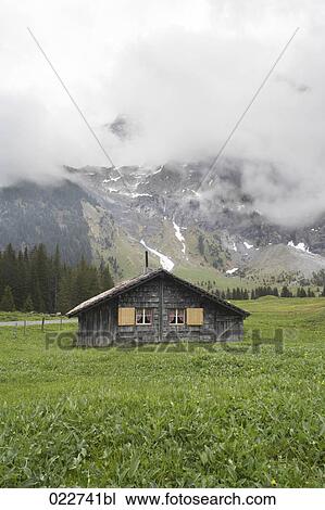 single hut near Schwarzwaldalp in Switzerland View Large Photo Image Stock Image - single hut near Schwarzwaldalp in Switzerland. Fotosearch