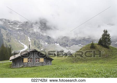single hut near Schwarzwaldalp in Switzerland View Large Photo Image Stock Image - single hut near Schwarzwaldalp in Switzerland. Fotosearch