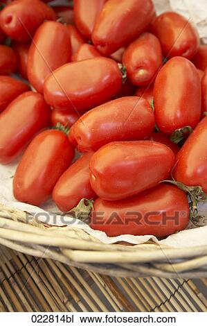 tomatos on display at market View Large Photo Image Stock Image - tomatos on display at market. Fotosearch
