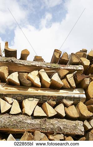 wood logs View Large Photo Image Stock Image - wood logs. Fotosearch