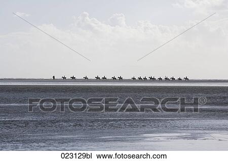 group of riders in the distance on the beach View Large Photo Image Stock Image - group of riders in the distance on the beach. Fotosearch
