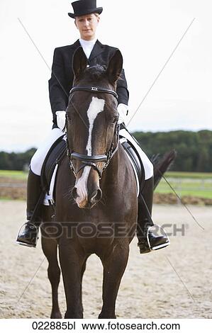 portrait of female dressage rider View Large Photo Image Stock Image - portrait of female dressage rider. Fotosearch
