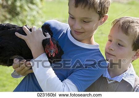 portrait of two boys with chicken View Large Photo Image Stock Image - portrait of two boys with chicken. Fotosearch
