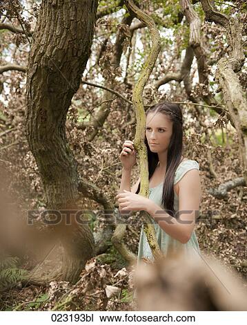 portrait of young woman in a forest View Large Photo Image Stock Image - portrait of young woman in a forest. Fotosearch