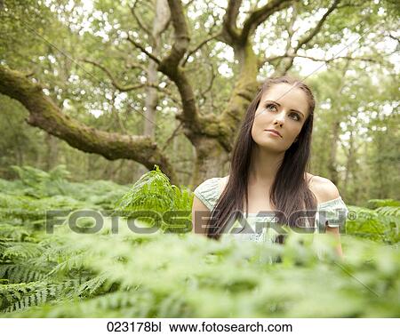 portrait of young woman in forest View Large Photo Image Stock Image - portrait of young woman in forest. Fotosearch