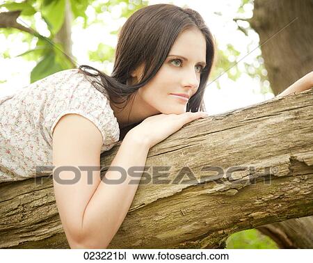 portrait of young woman lying on tree trunk View Large Photo Image Stock Image - portrait of young woman lying on tree trunk. Fotosearch