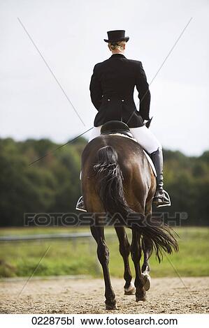 rear view of female dressage rider exercising View Large Photo Image Stock Image - rear view of female dressage rider exercising. Fotosearch