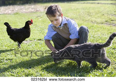 Stock Image - young boy watching cat. Fotosearch
