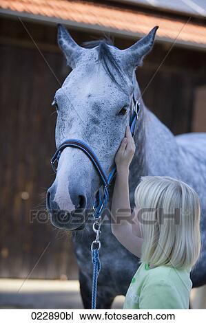 Stock Image - young girl stroking white horse. Fotosearch