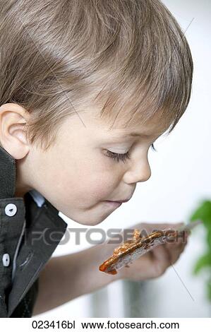 headshot of young boy tasting minced meat View Large Photo Image Stock Image - headshot of young boy tasting minced meat. Fotosearch