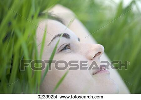portrait of young woman lying in grass View Large Photo Image Stock Image - portrait of young woman lying in grass. Fotosearch