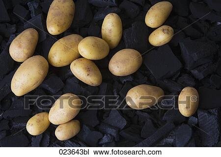 still life of potatoes View Large Photo Image Stock Image - still life of potatoes. Fotosearch