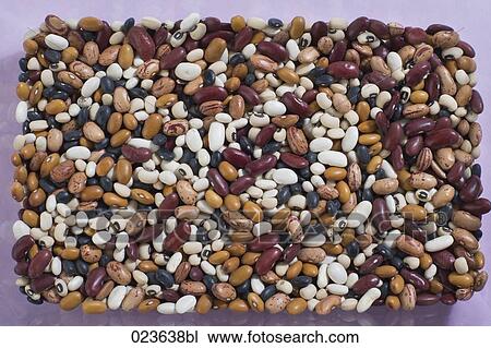Stock Image - variety of beans. Fotosearch