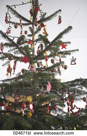 Stock Image - christmas tree. Fotosearch