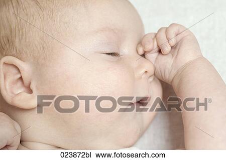 headshot of sleeping baby boy View Large Photo Image Stock Image - headshot of sleeping baby boy. Fotosearch