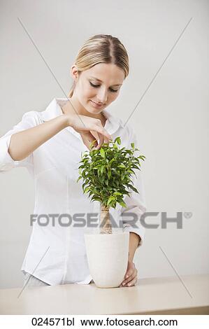portrait of young woman with potted plant View Large Photo Image Stock Image - portrait of young woman with potted plant. Fotosearch