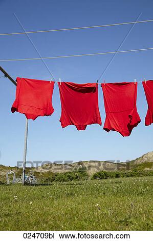 red t-shirts hanging on clothesline in summer View Large Photo Image Stock Image - red t-shirts hanging on clothesline in summer. Fotosearch