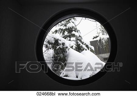 tree in winter seen through window View Large Photo Image Stock Image - tree in winter seen through window. Fotosearch