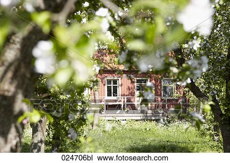 weekend house seen through trees in garden View Large Photo Image Stock Image - weekend house seen through trees in garden. Fotosearch