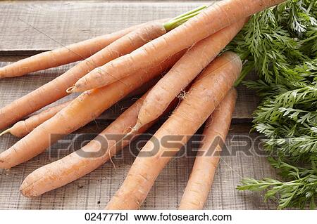 assortment of carrots View Large Photo Image Stock Image - assortment of carrots. Fotosearch