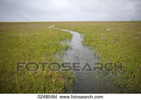 brook flowing though meadow towards sea View Large Photo Image Stock Image - brook flowing though meadow towards sea. Fotosearch