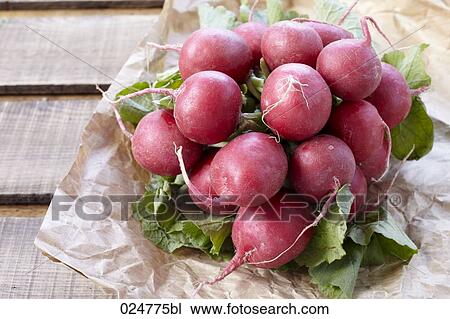 bunch of red radishes View Large Photo Image Stock Image - bunch of red radishes. Fotosearch