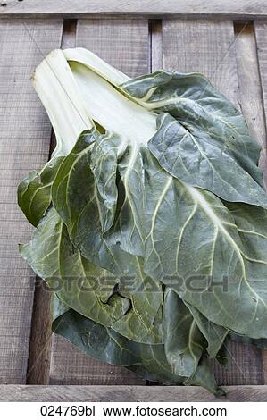Stock Image - chard. Fotosearch